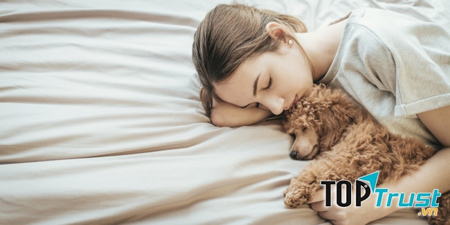 Lông từ chó, mèo cũng có thể rụng và nếu hít phải khi ngủ sẽ gây vấn đề lớn tới hệ hô hấp.