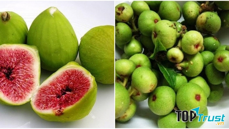 Ngừa loãng xương