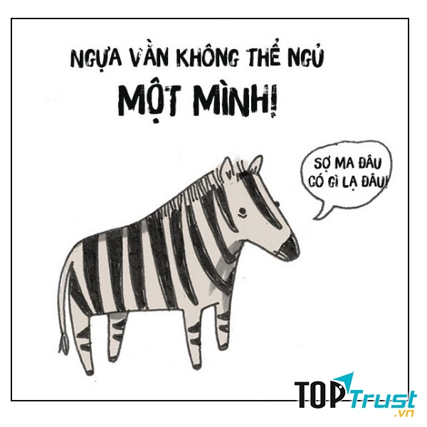 Ngựa vằn không thể ngủ một mình