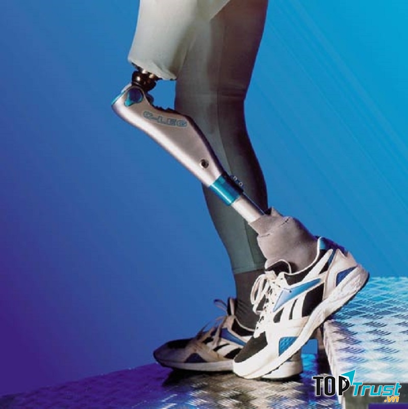 Người Ai Cập đã tạo ra bộ phận cơ thể giả