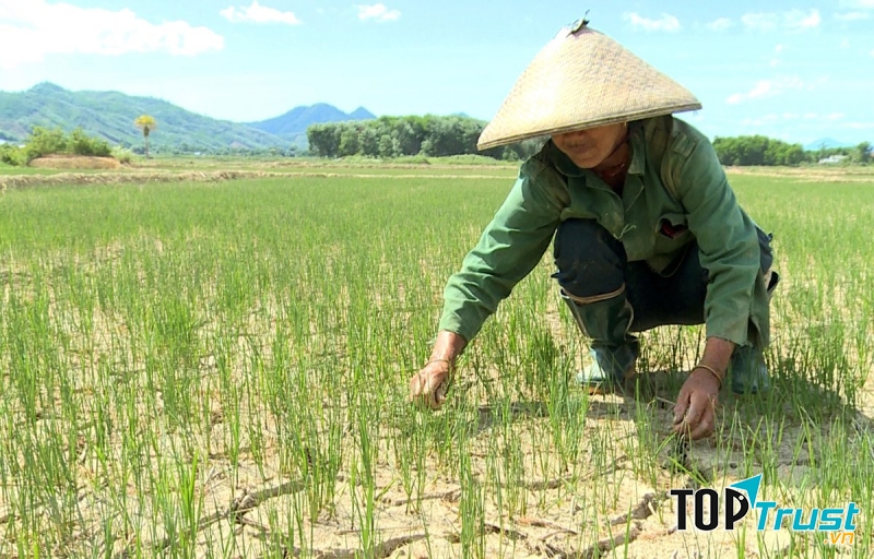 Người địa vị thấp