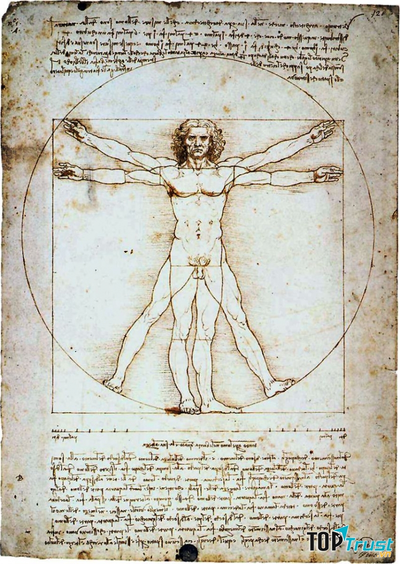 The Vitruvian Man