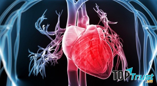 Tác hại của bệnh tim thì khỏi phải bàn!