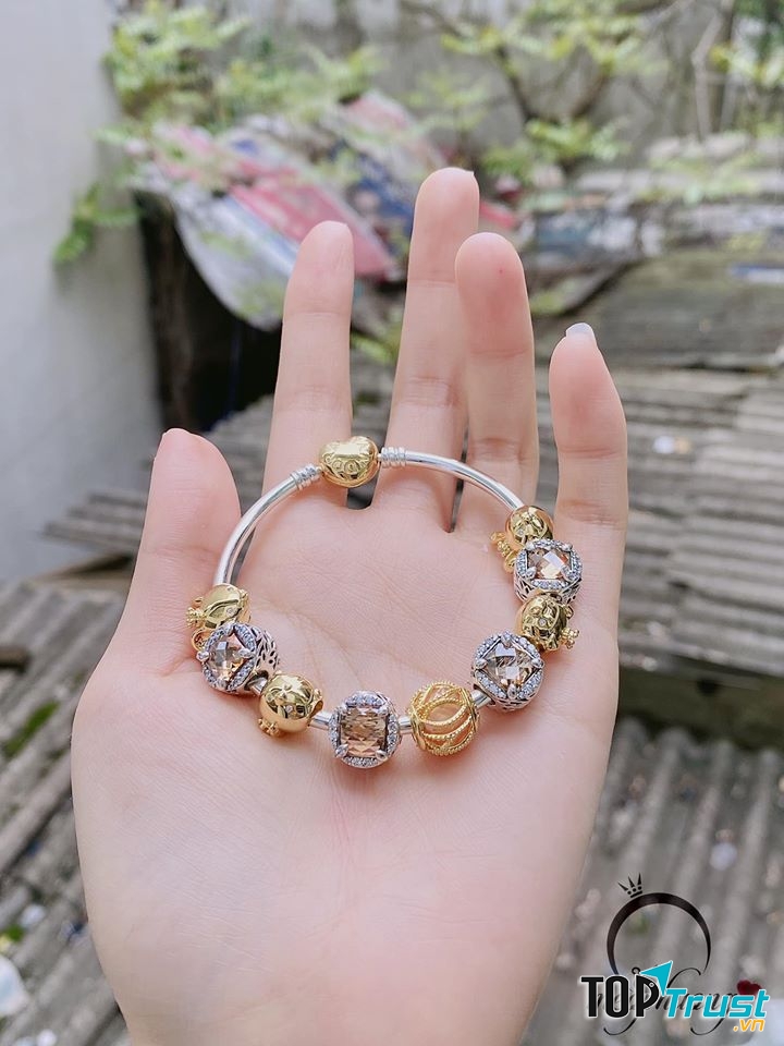 Mèo Phương Pandora