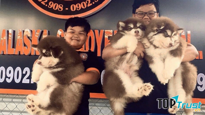 Nguyễn Thành Kennels (Trại Chó Nguyễn Thành)