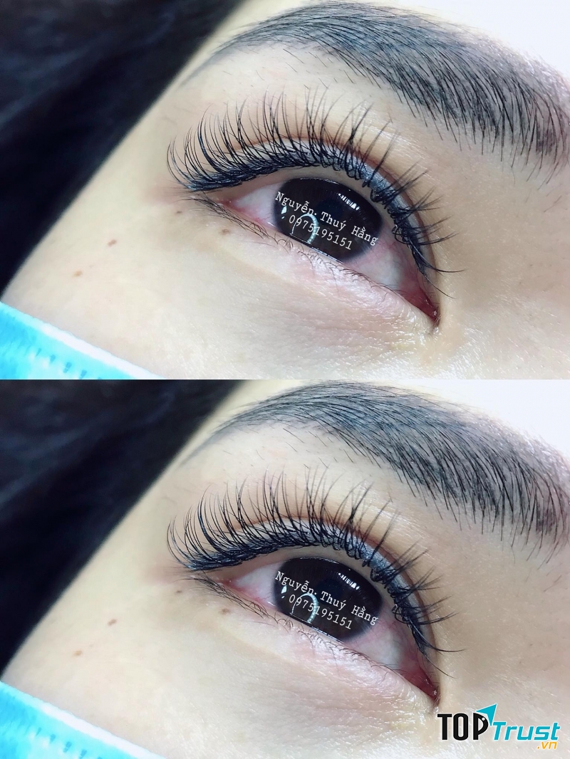 Nguyễn Thúy Hằng Nối mi