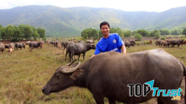 Nguyễn Văn Ngợi