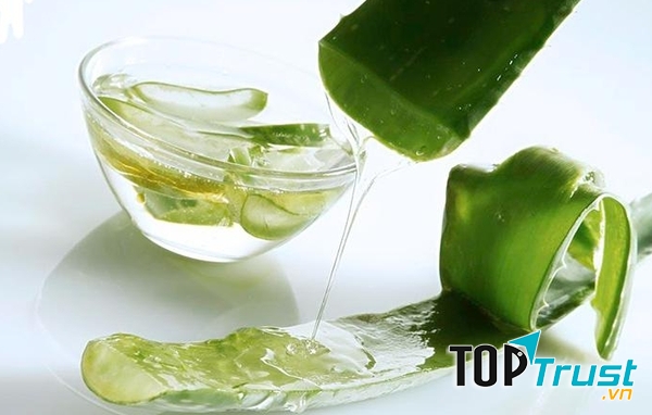 Không chỉ tác dụng làm đẹp da hiệu quả và sử dụng lô hội làm nguyên liệu để chữa trị khô môi, nứt nẻ môi cũng làm bạn thật sự bất ngờ đấy