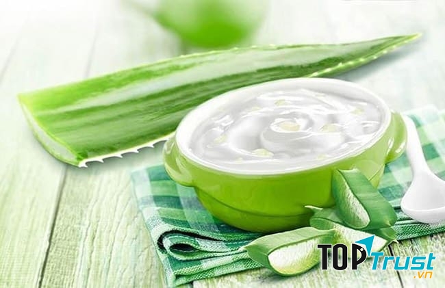 Nha đam kết hợp với sữa chua