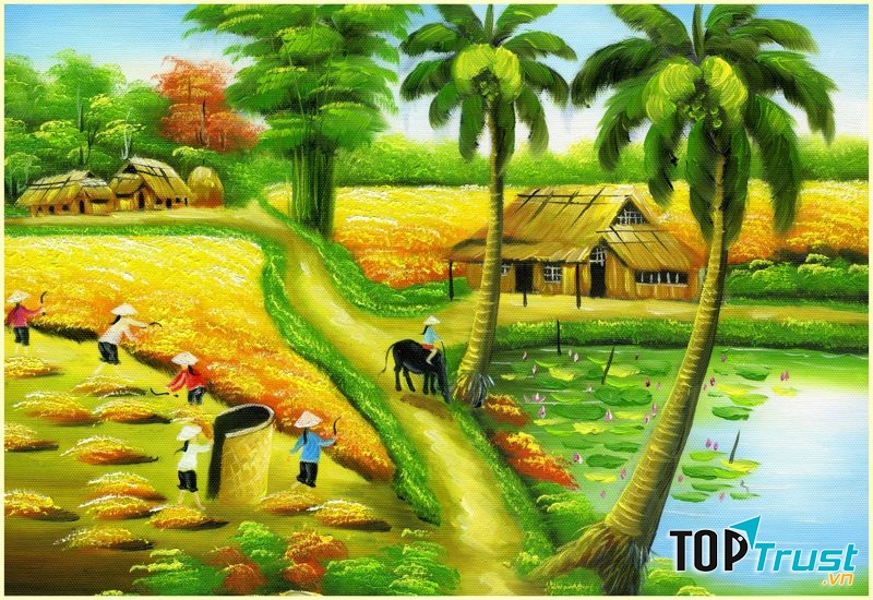 Hình minh họa
