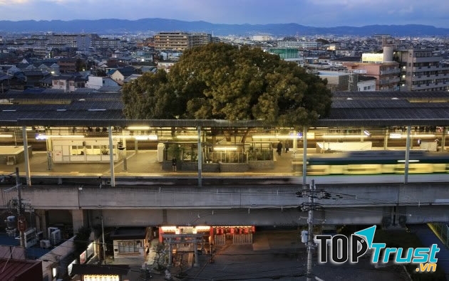 Nhà ga nhìn từ trên xuống