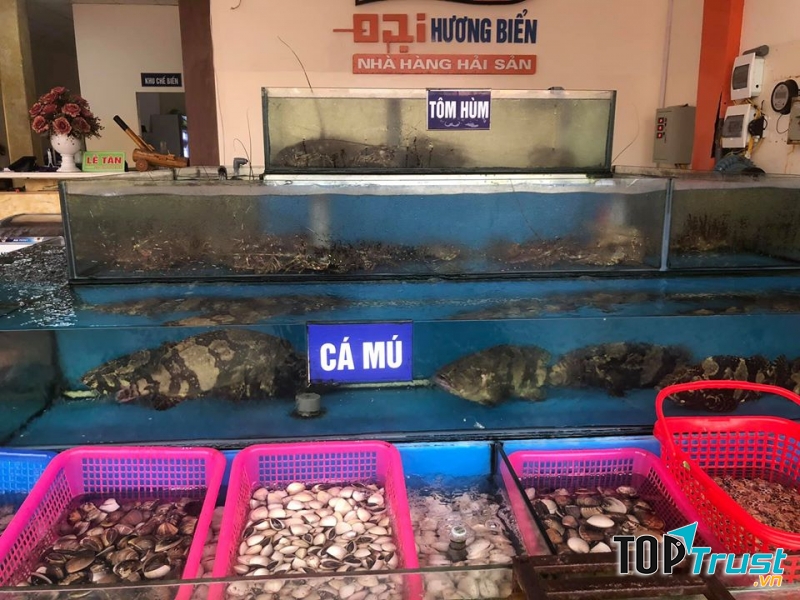 Với phương châm của Nhà hàng “Ngon – Rẻ – An toàn sức khỏe – trẻ đẹp bền lâu”