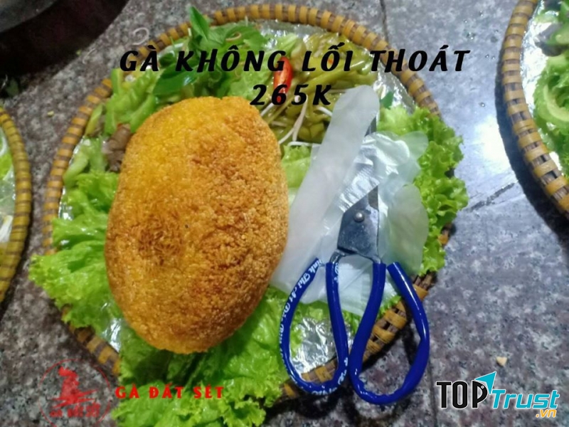 Gà không lối thoát