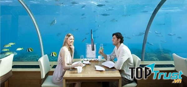 Nhà hàng dưới biển Ithaa ở Maldives