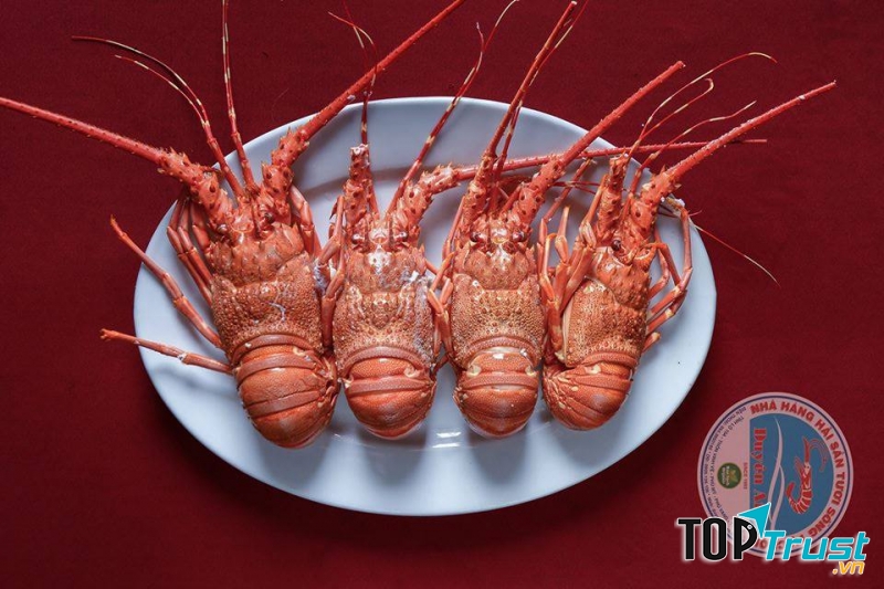   Nhà hàng chuyên phục vụ các món Hải sản Truyền thống với hơn 30 món ăn nổi tiếng