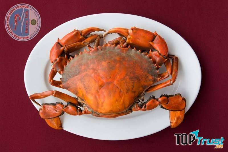 Nguồn nguyên liệu luôn đảm bảo tươi ngon, qua quá trình chế biến tỉ mỉ của người đầu bếp, những món ăn ở đây luôn được khách hàng đánh giá rất cao.