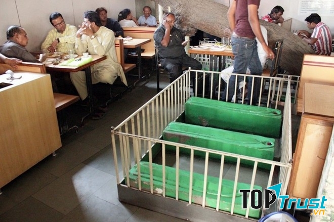 Nhà hàng New Lucky tại Ahmedabad, Ấn Độ nằm ở giữa một nghĩa địa cũ