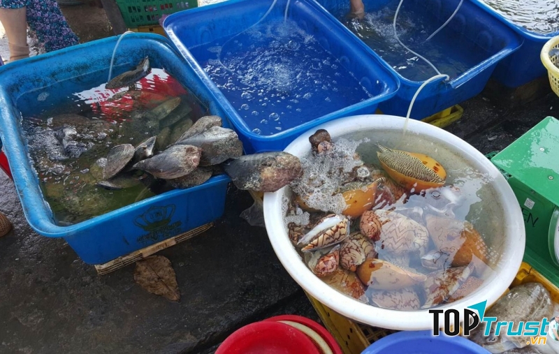 Đúng như tên gọi của nhà hàng này, Blue sẽ mang màu xanh của biển về để khách hàng thưởng thức.