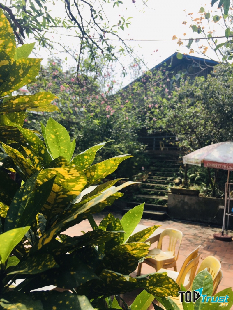 Nhà hàng Hàm Rồng