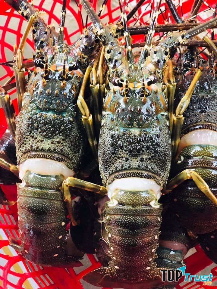 Hải sản tại nhà hàng Phương Nam rât tươi và ngon