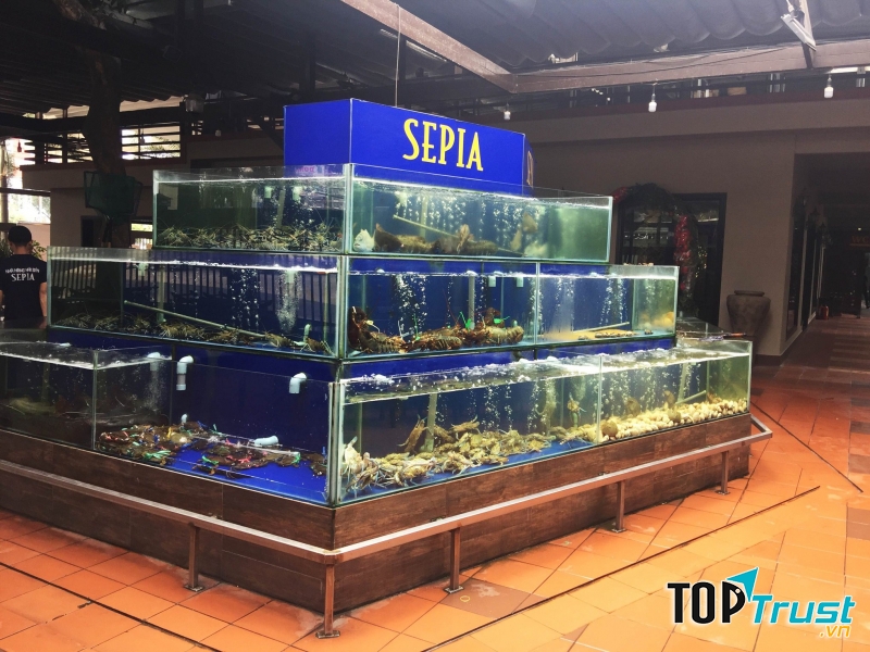 Hải sản tươi ngon