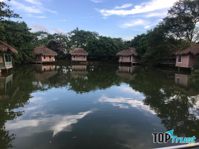 Sinh thái Nam Hồng