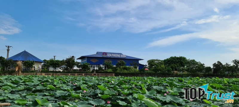 Nhà hàng sinh thái Sen Plus