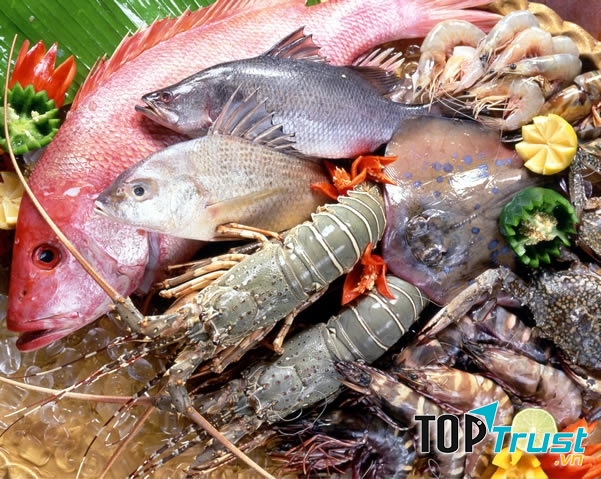 Hải sản tươi sống