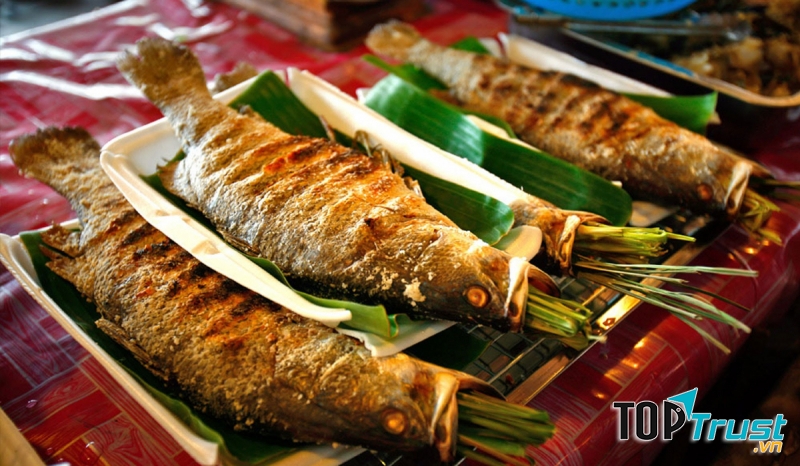 Ảnh minh họa