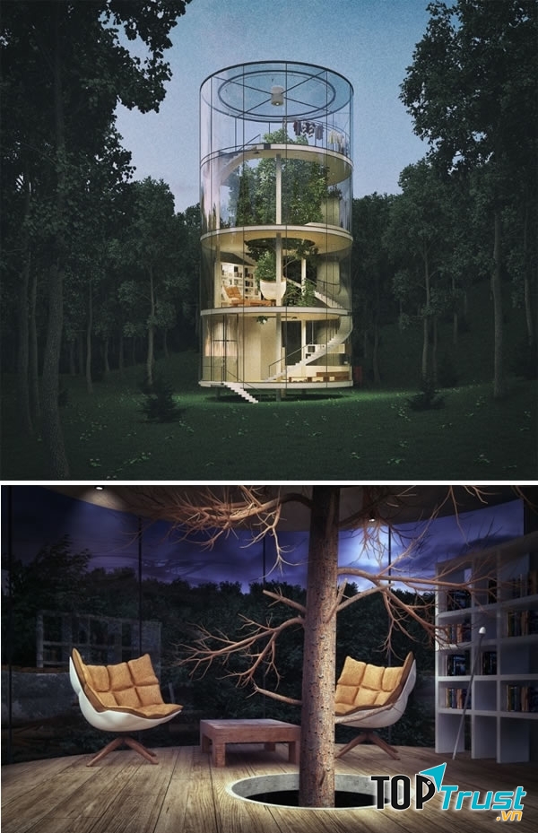 Bên ngoài và bên trong tòa nhà