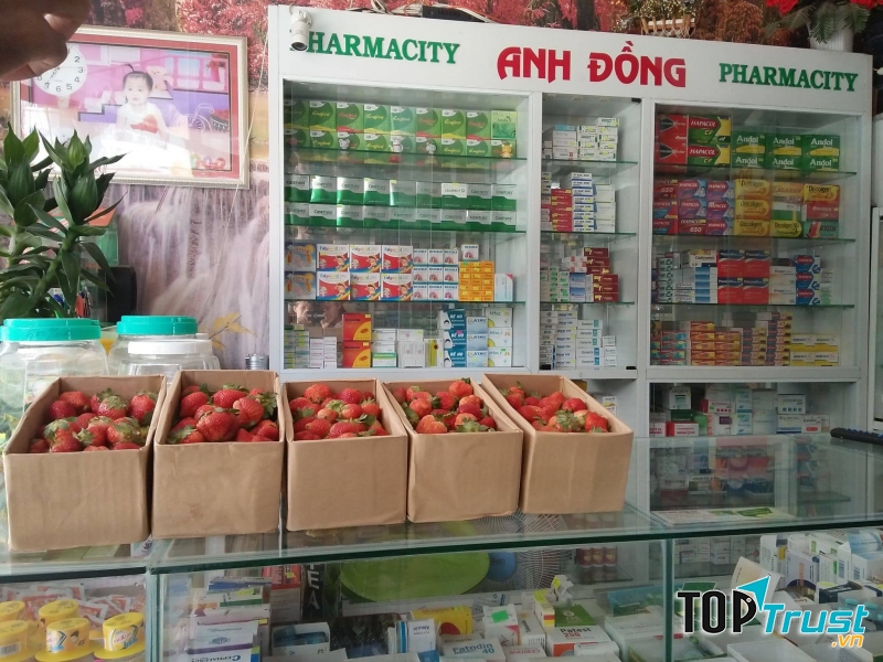 Nhà Thuốc Anh Đông