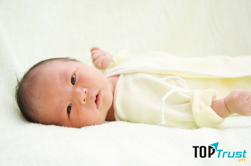 Hình ảnh minh họa