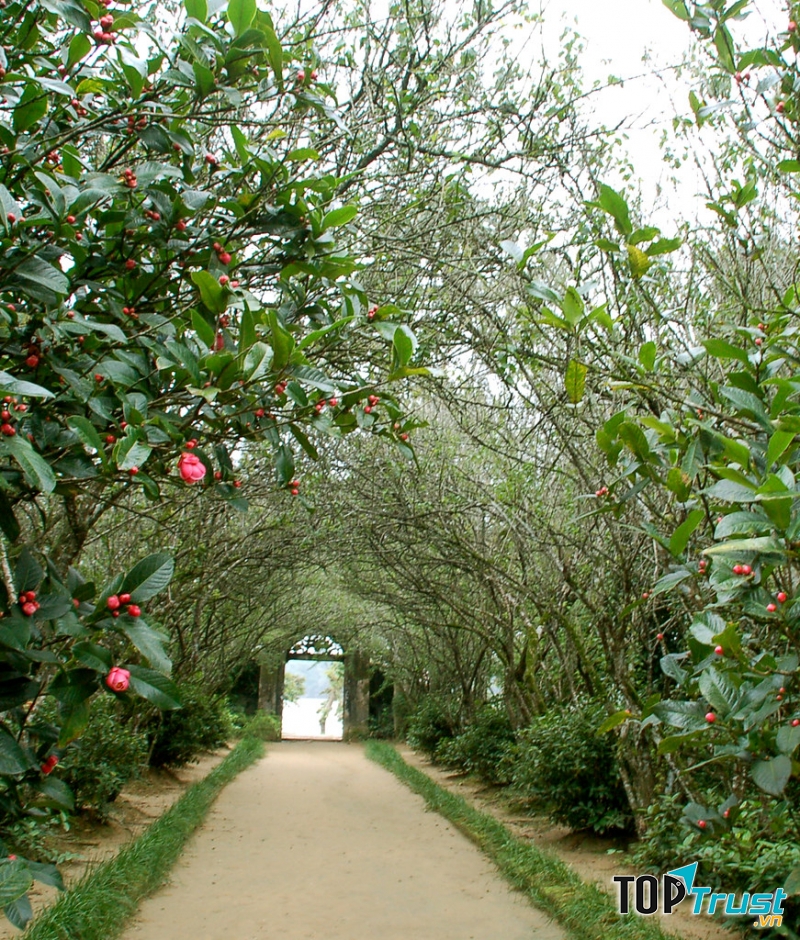 Cổng vào vườn An Hiên