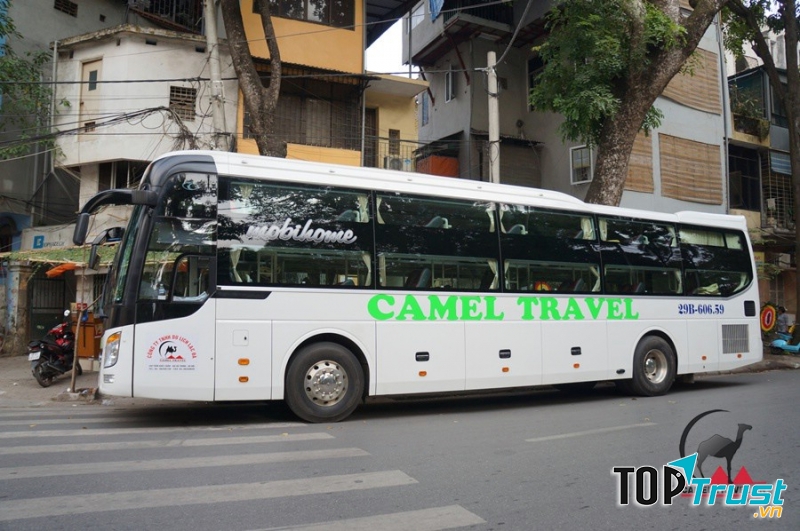 Xe Camel Travel