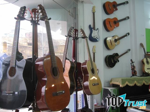 Nhạc cụ Tiến Mạnh