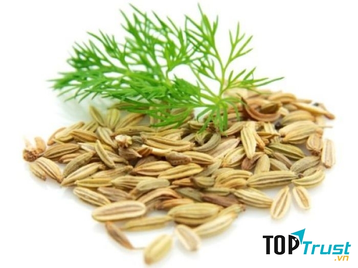 Ảnh minh họa - nguồn internet