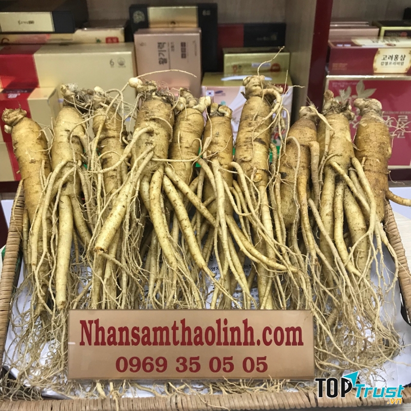 Nhân Sâm Thảo Linh