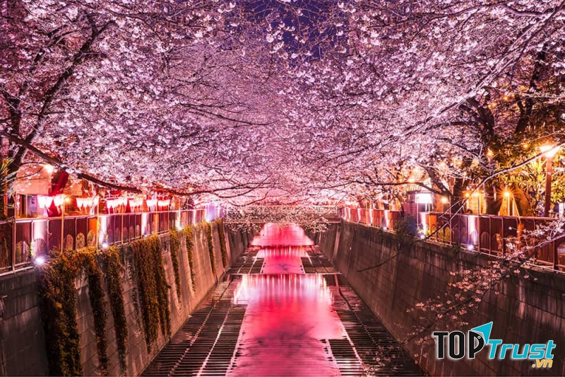 Xét về dự báo GDP danh nghĩa, nền kinh tế Nhật Bản đứng thứ ba