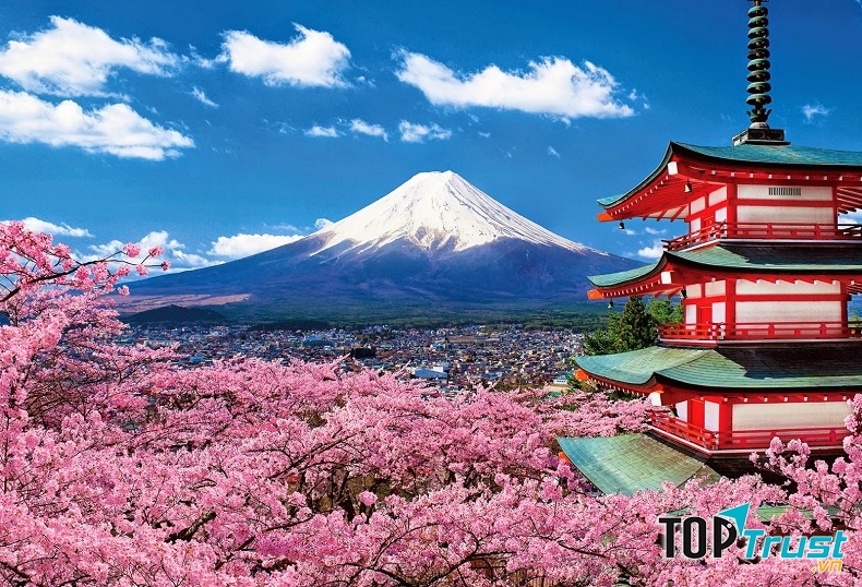 Nhật Bản đang tích cực mua vàng để sẵn sàng đối phó với các rủi ro