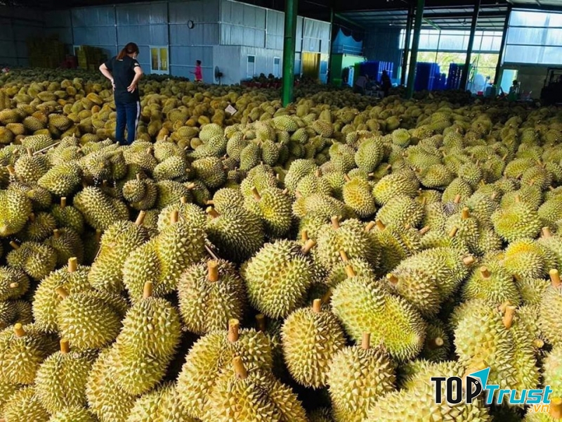 Nhat Ha Organic Foods