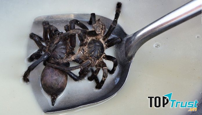 Nhện Tarantula chiên - Campuchia