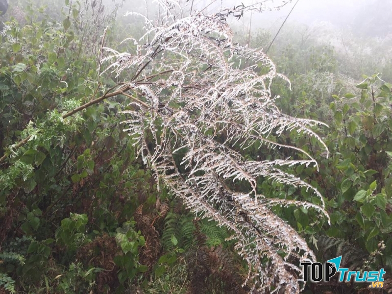 Tuyết trên Nhìu Cô San mùa đông