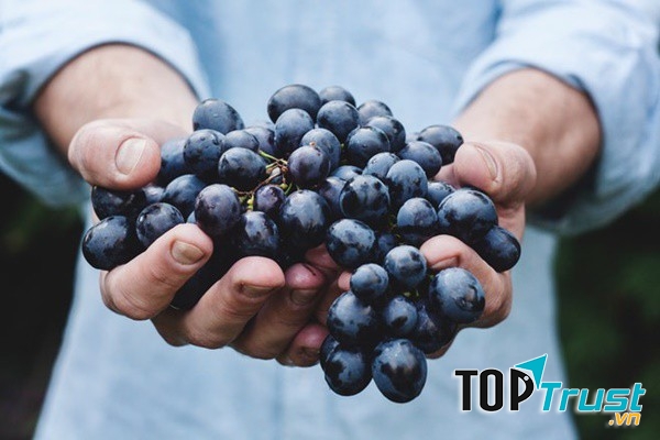 Ảnh minh họa - nguồn internet