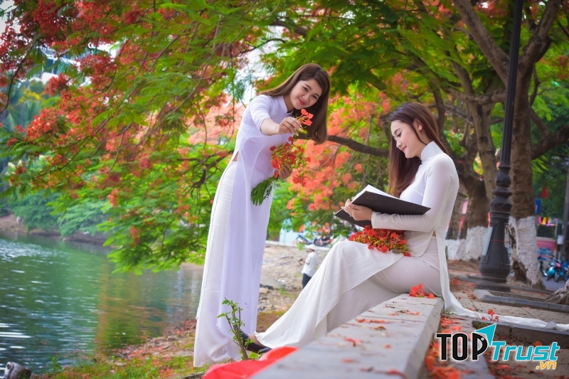 Kỷ niệm mùa hạ
