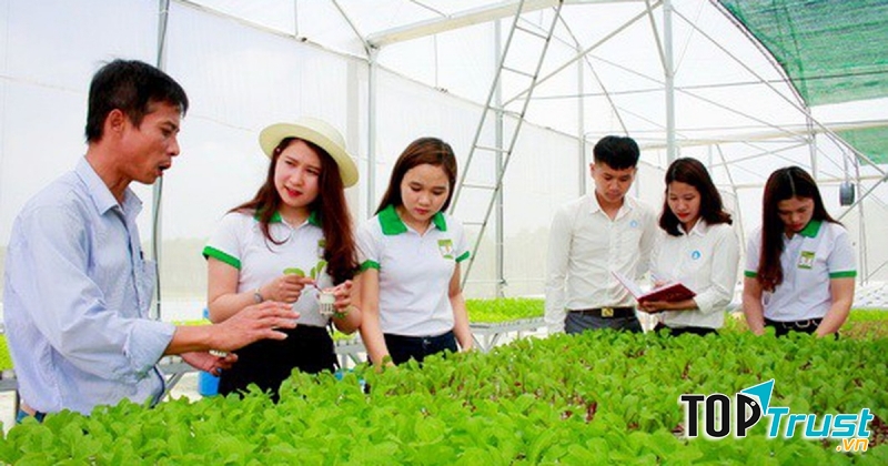 Hoạt động kết hợp sẽ nâng cao hiệu quả ghi nhớ