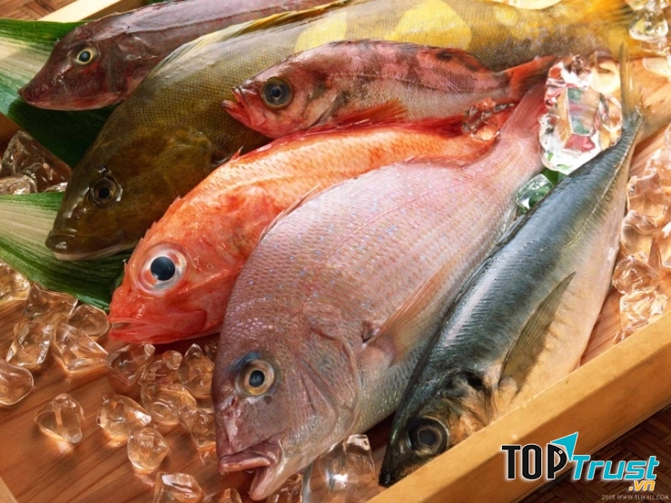 Cá chứa nhiều omega - 3