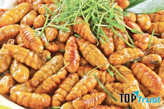 Nhộng ông rừng