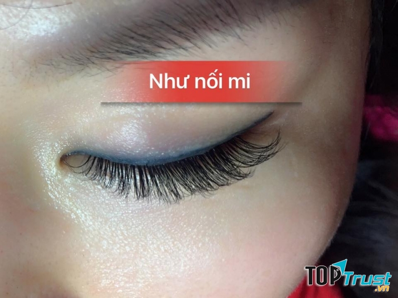 Như Nối Mi