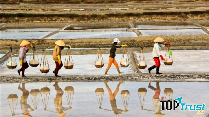 Cánh đồng muối Ba Tri