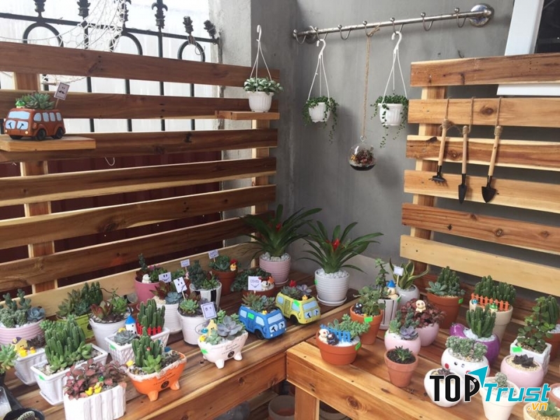 Những chậu cây xinh xắn tại Vườn mini